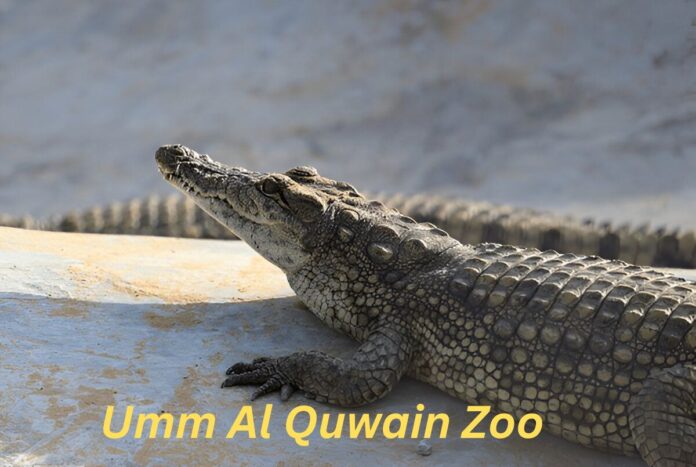 Umm Al Quwain Zoo